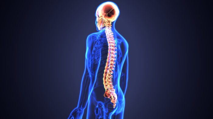 Spinal column cord vertebral compression mri figure scan