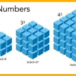 A number cube numbered 1-6 is rolled once