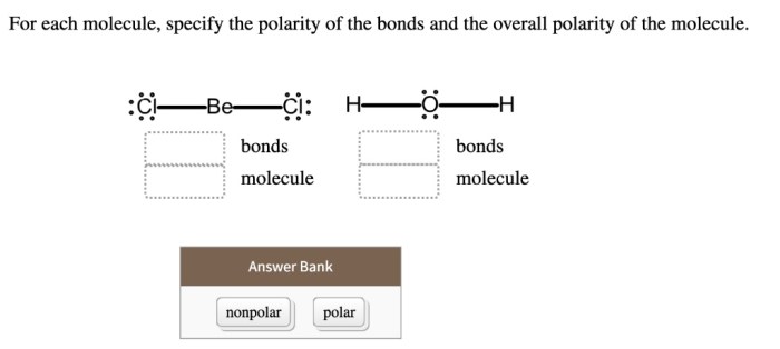 Polarity molecule specify overall bonds below each chegg eac