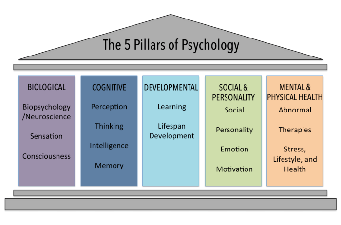 Personality psychology domains of knowledge about human nature 7th edition