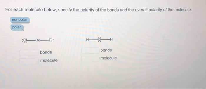 Molecule specify polarity homeworklib bonds argument attempt hint